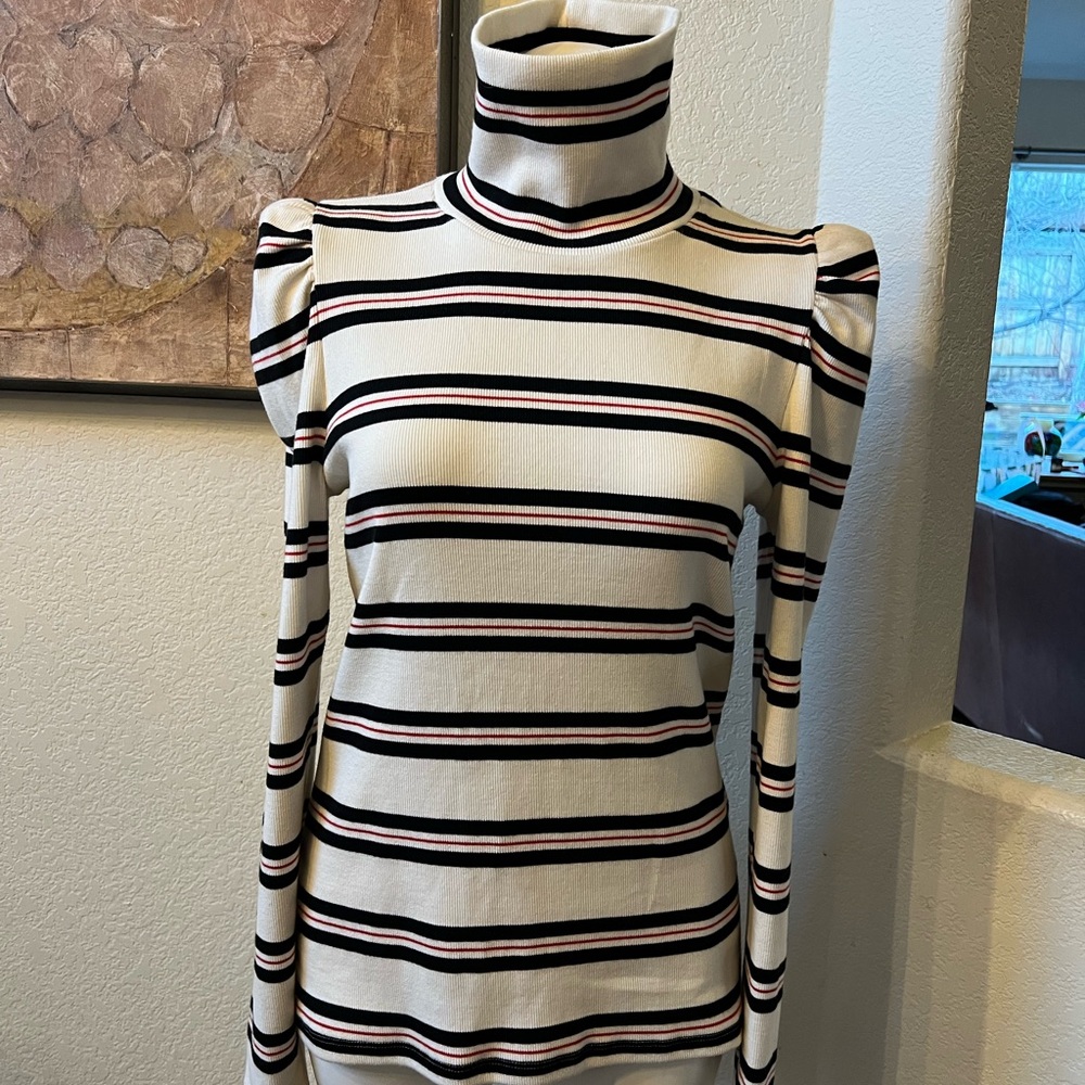 Be Striped Turtleneck Sweater